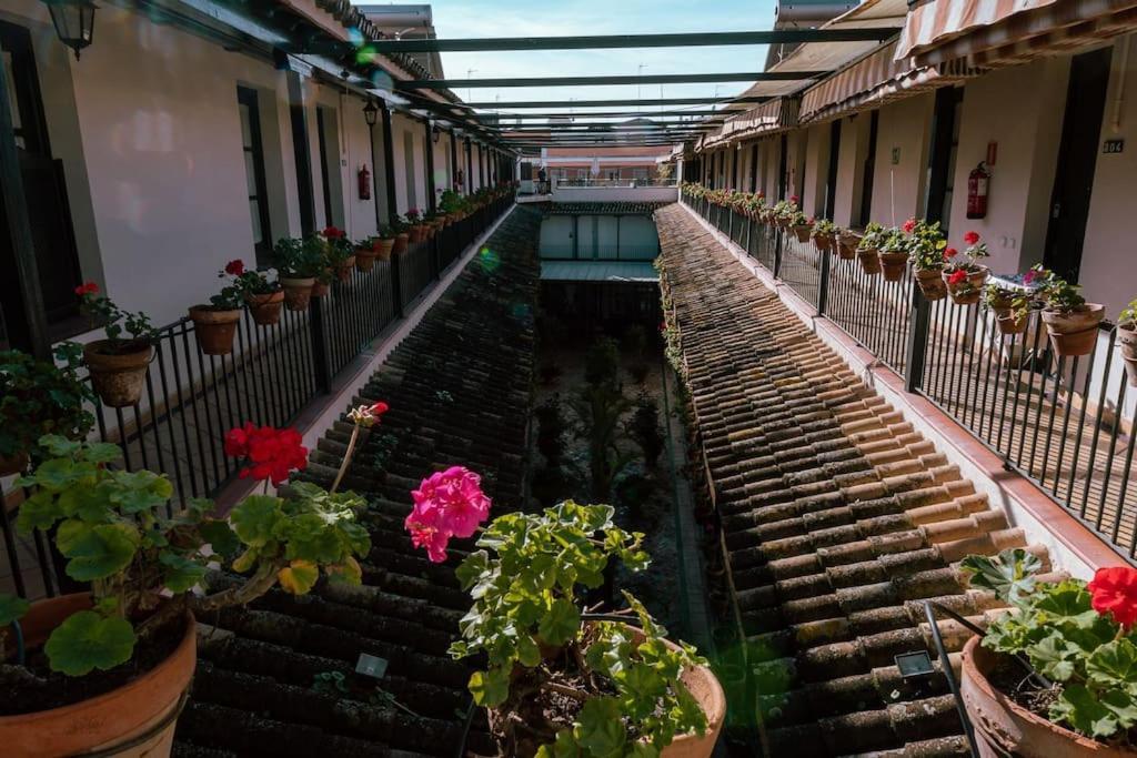Apartamento Con Encanto En Patio Sevillano ภายนอก รูปภาพ