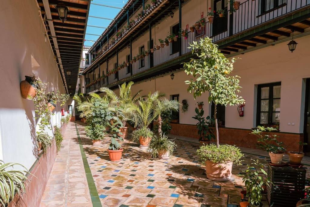 Apartamento Con Encanto En Patio Sevillano ภายนอก รูปภาพ